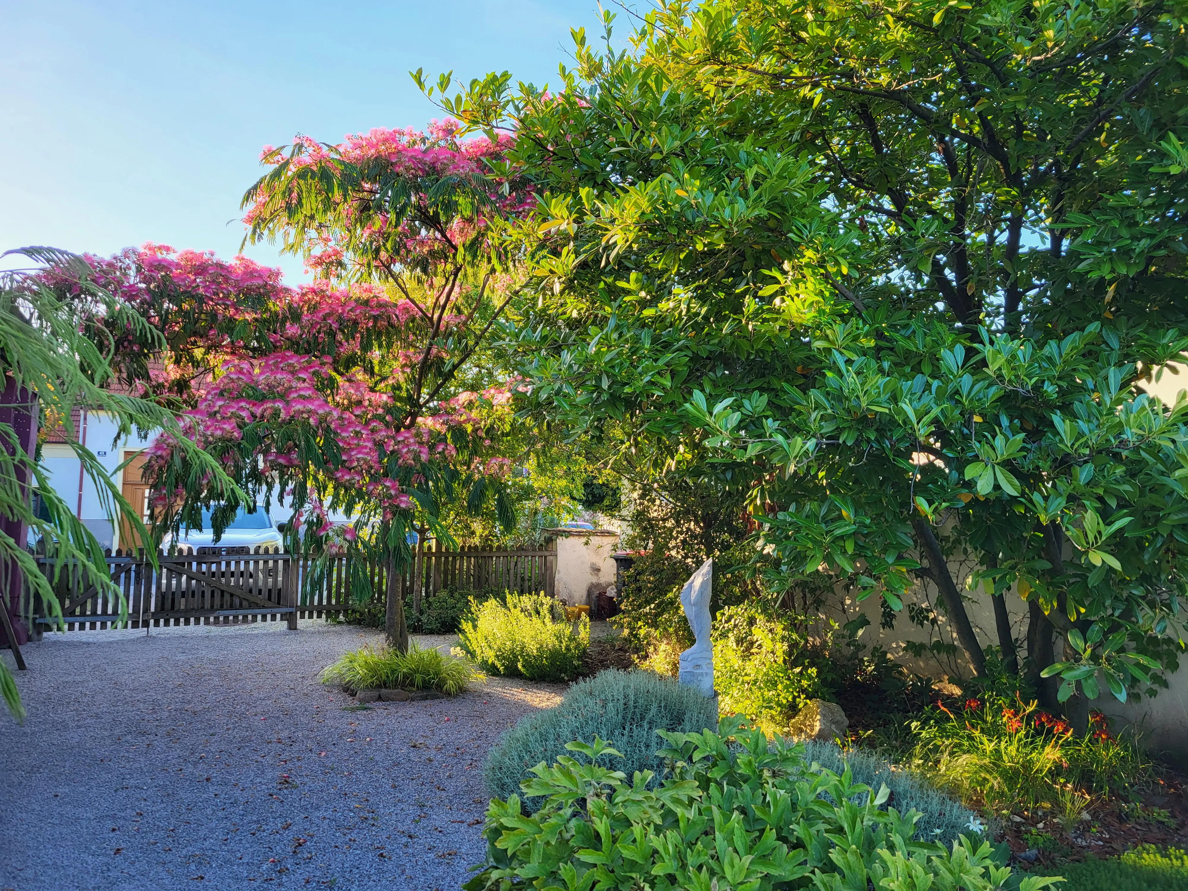 Vielfältige Bepflanzung im persönlichen Versuchsgarten