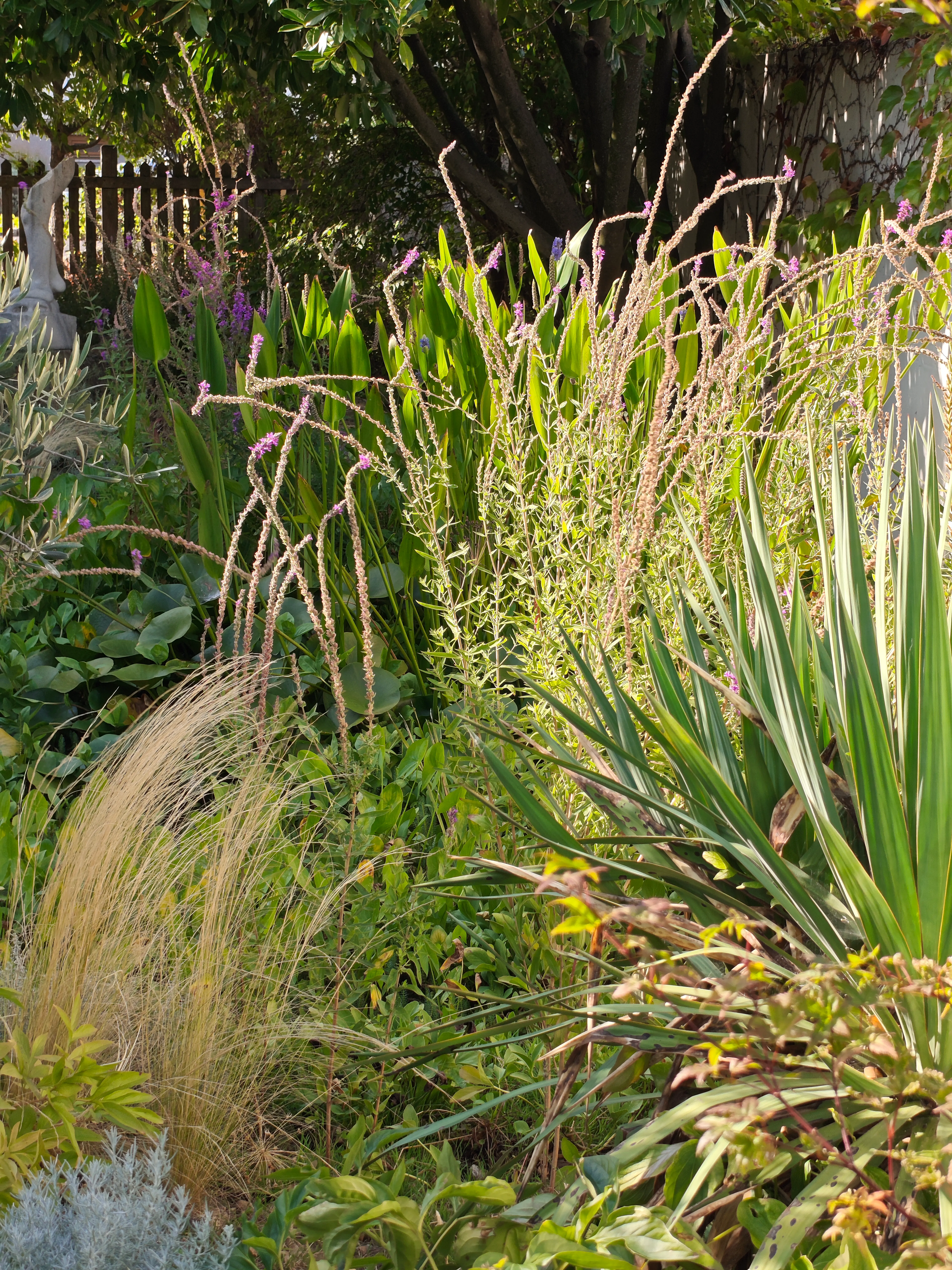 Detailaufnahme aus dem Garten zum Erproben und Weiterdenken