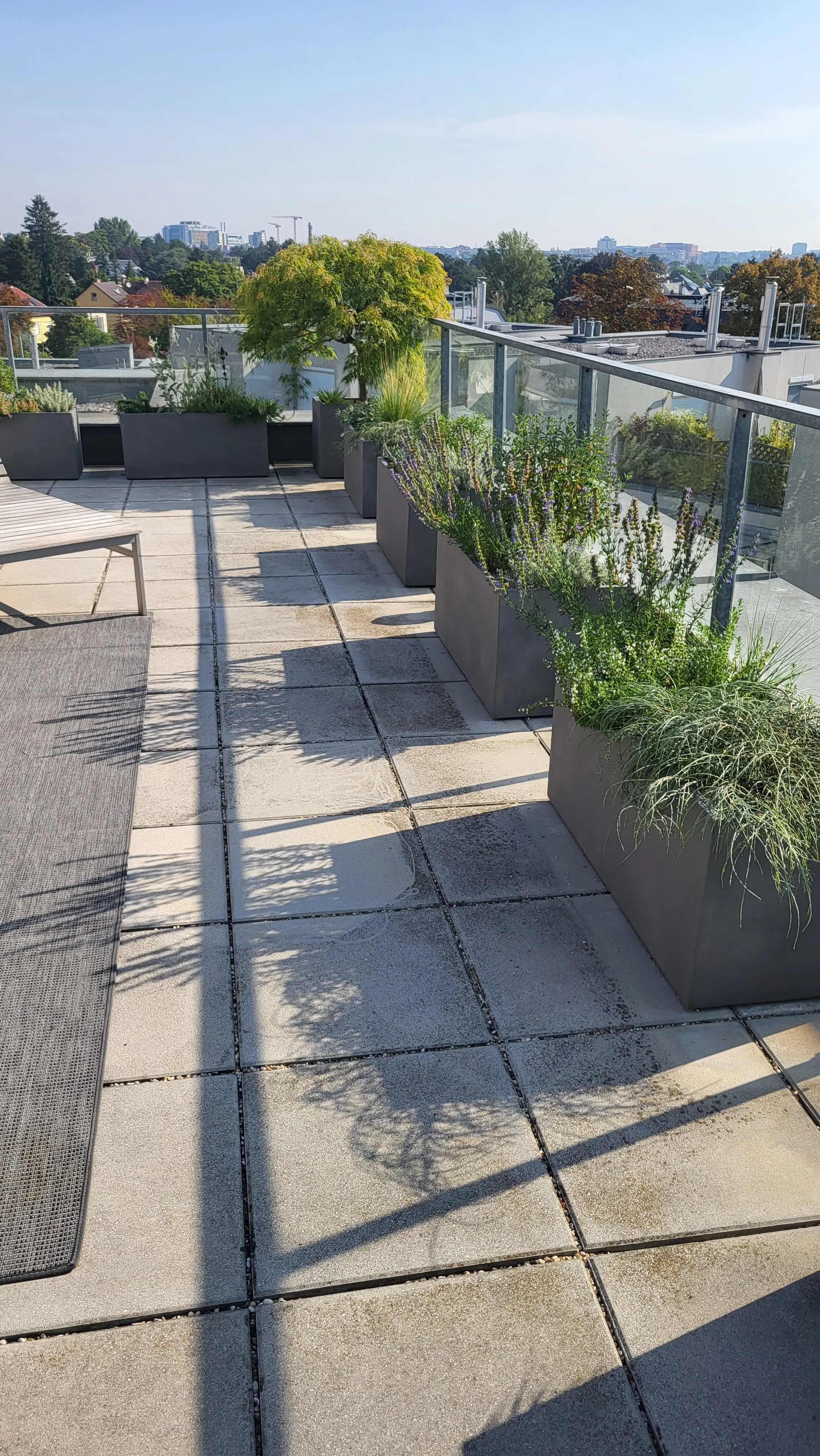 Trockenheitsverträgliche Bepflanzung auf einer Terrasse