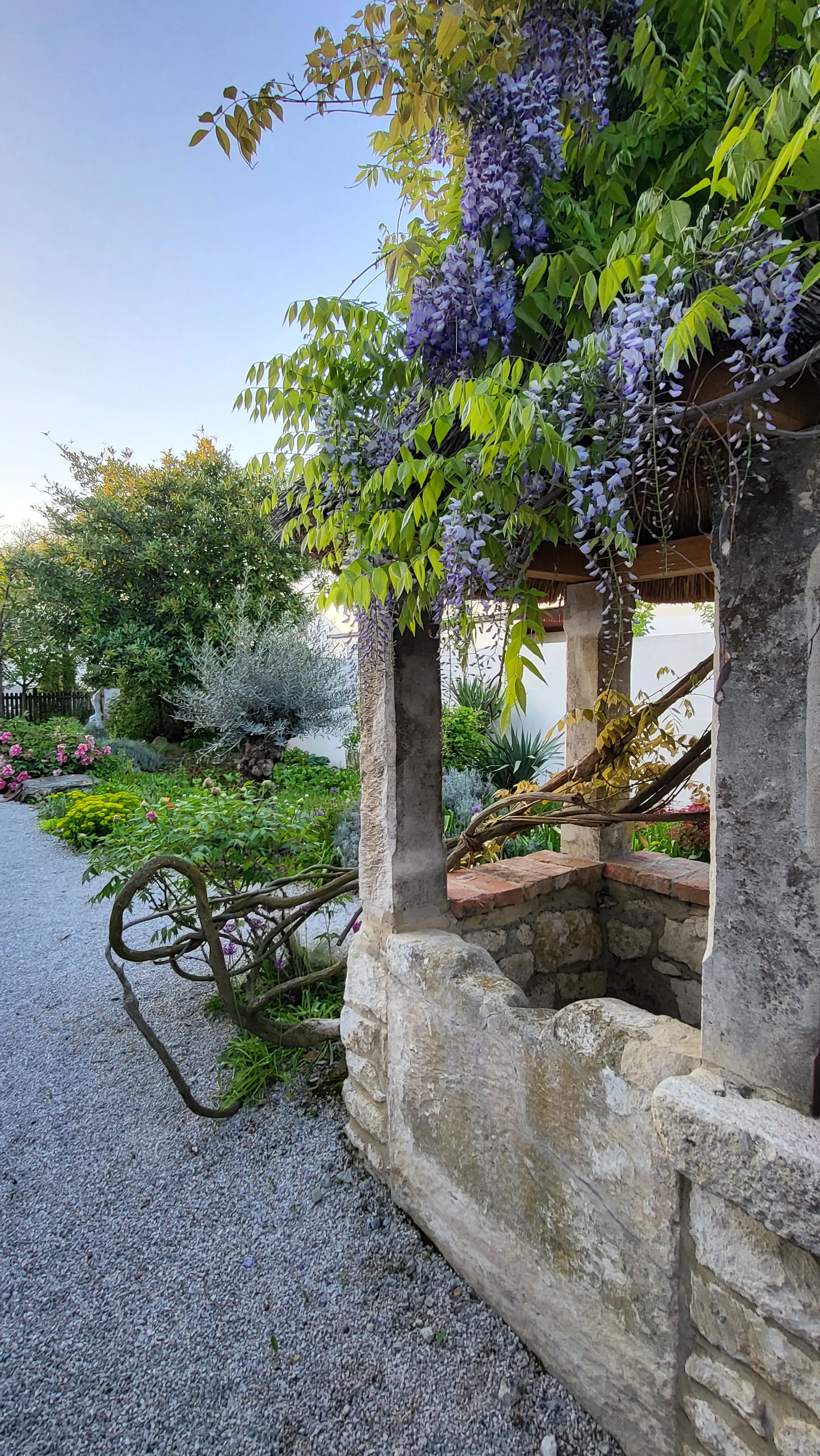 Vielfältige Bepflanzung im persönlichen Versuchsgarten