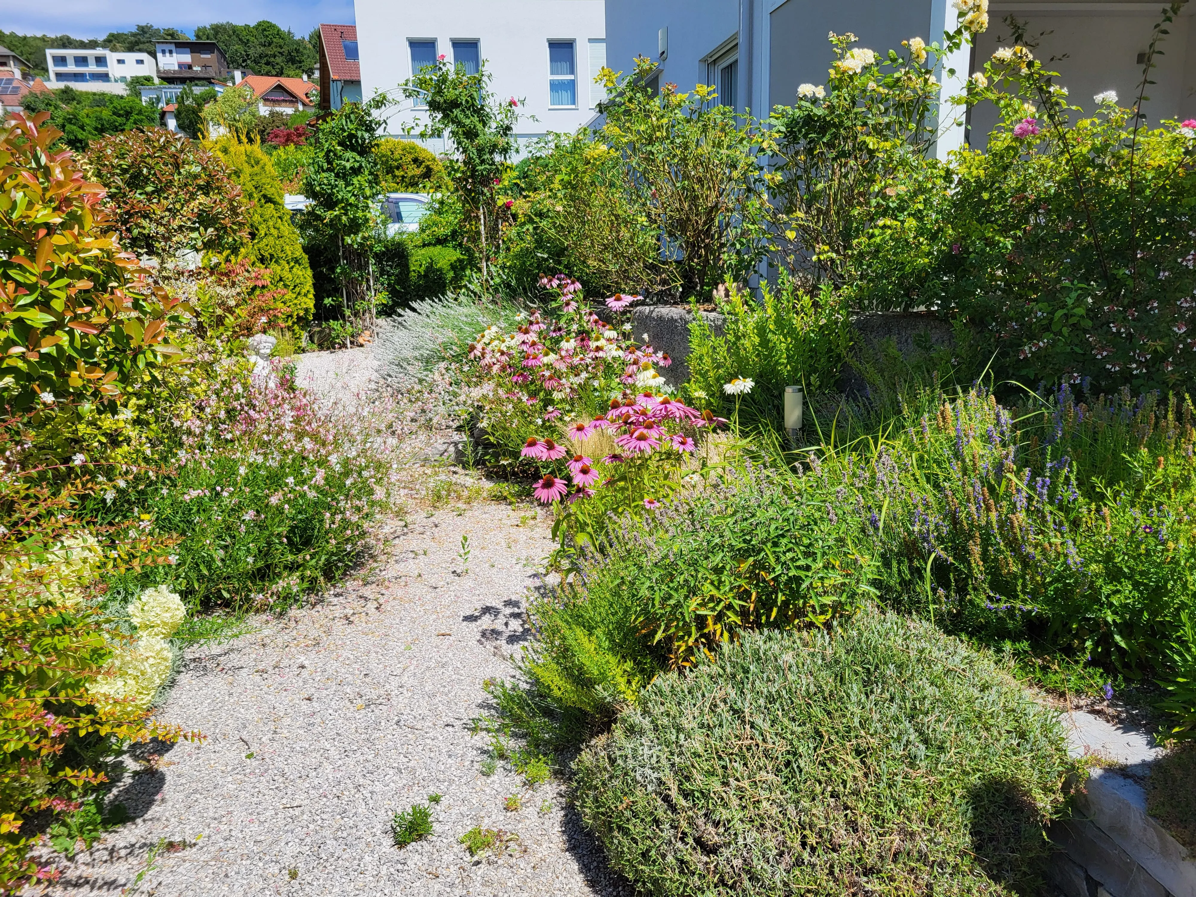 Artenreiche mediterrane Bepflanzung im Garten