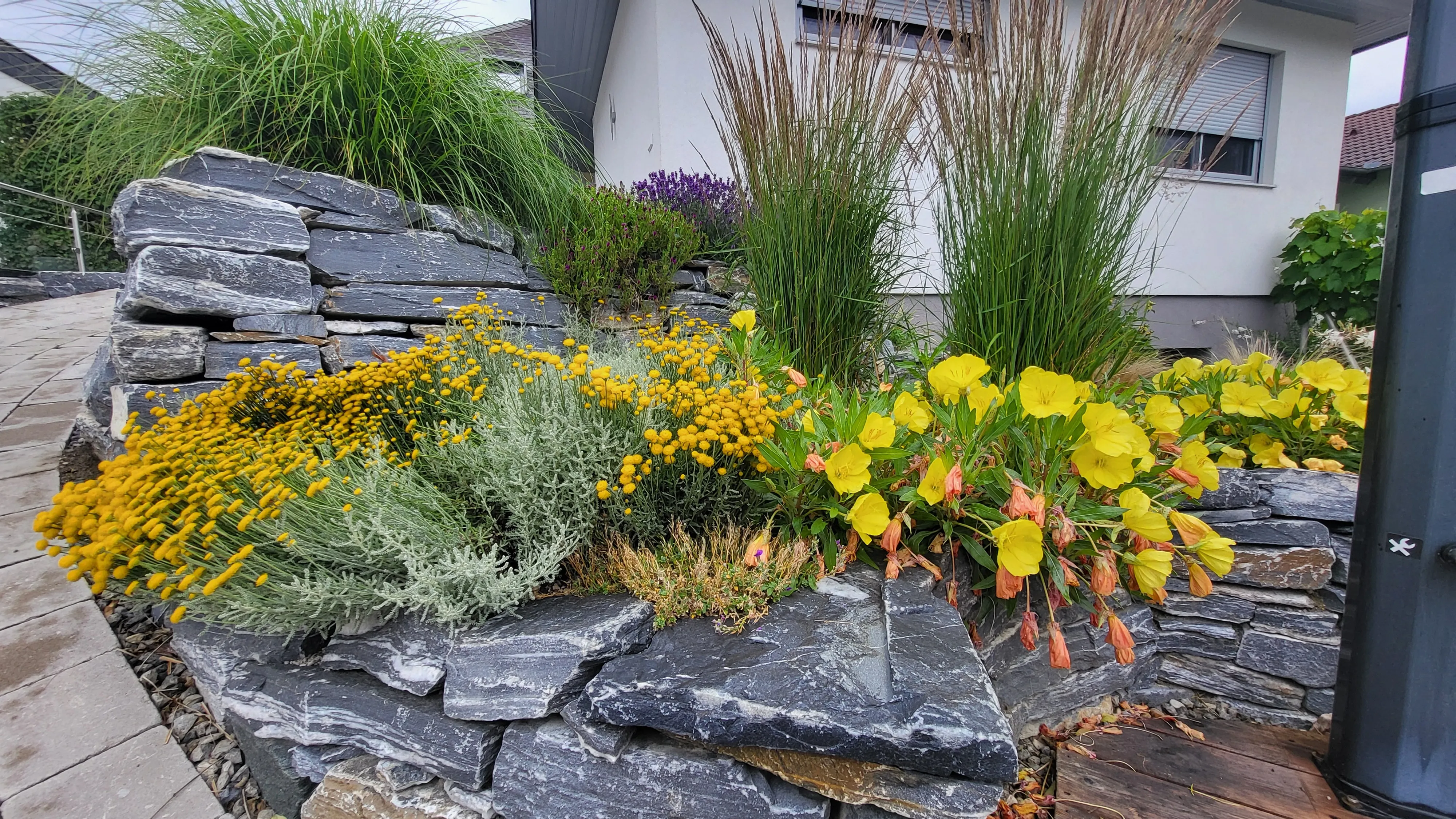 Wassersparende Xerogardening-Bepflanzung auf einer Terrasse